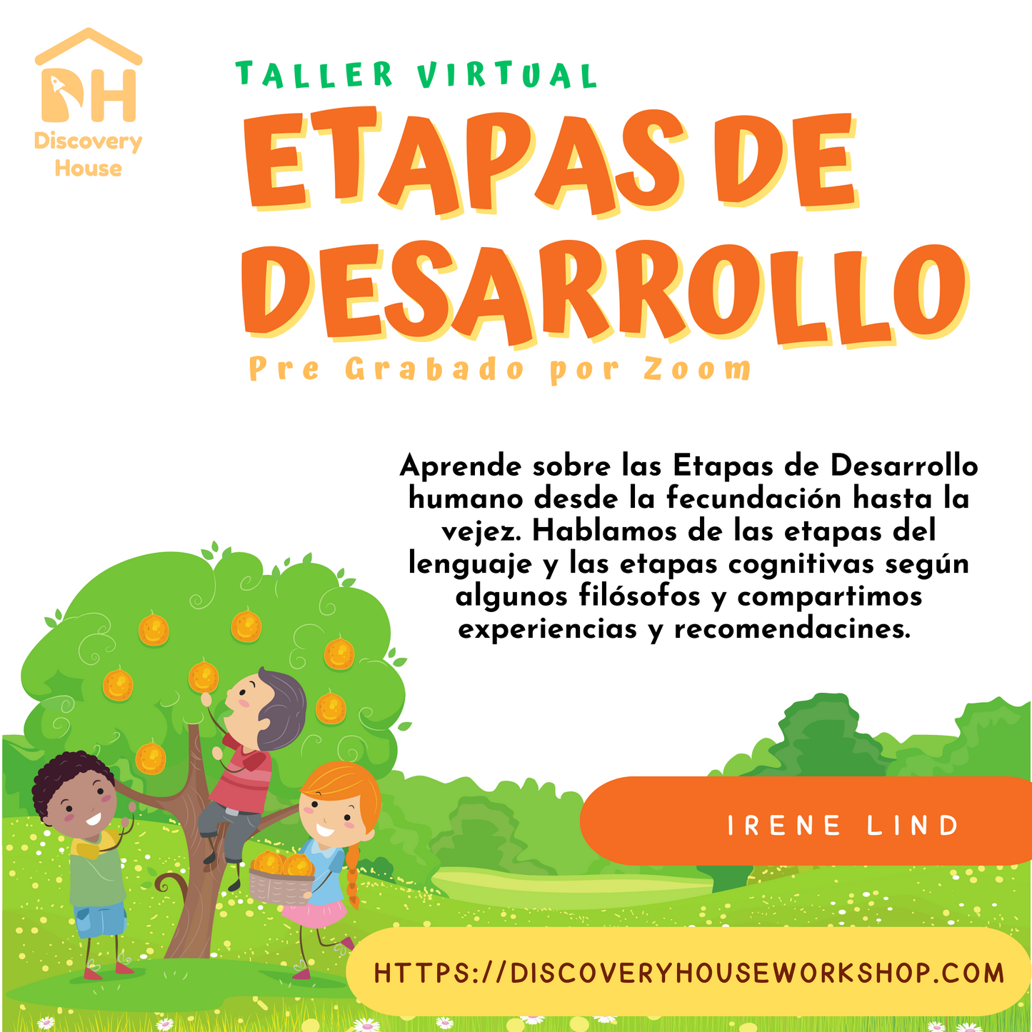 Taller: Etapas del Desarrollo