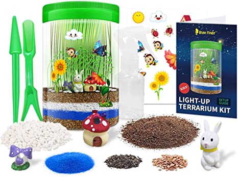 Kit de Terrario con Luz LED