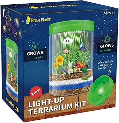 Kit de Terrario con Luz LED
